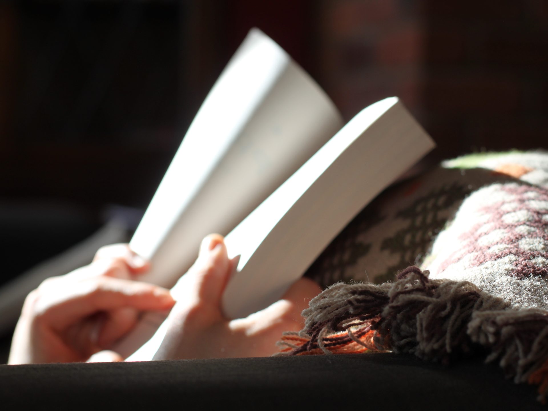 Ruhiger Moment beim Lesen